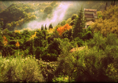 Agriturismo Antico Casale Di Lisycon